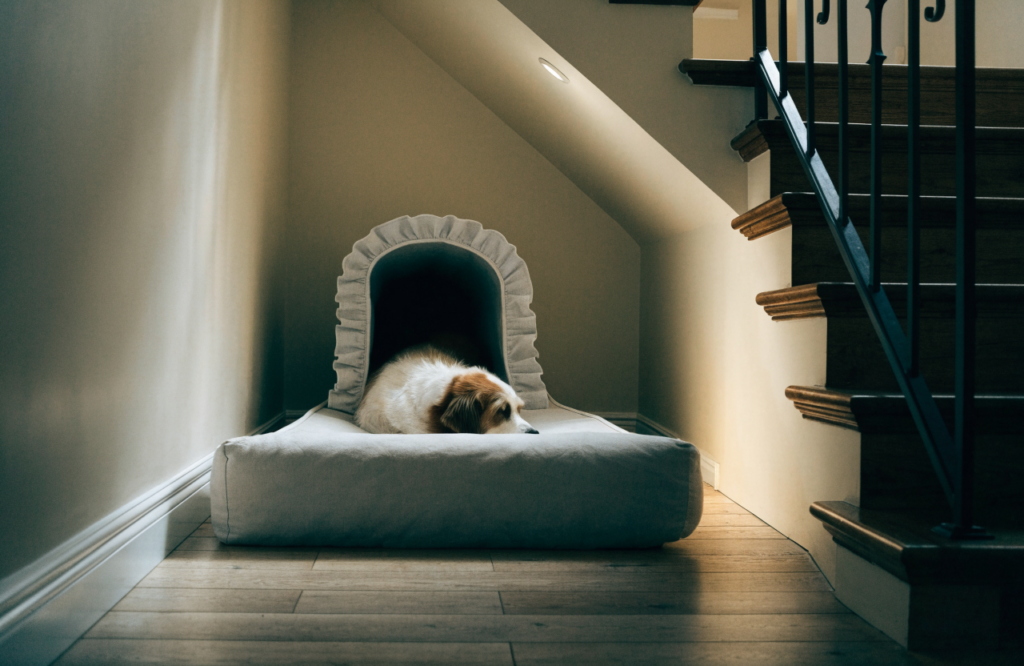 Long dog mattress running into the corner under winder stairs