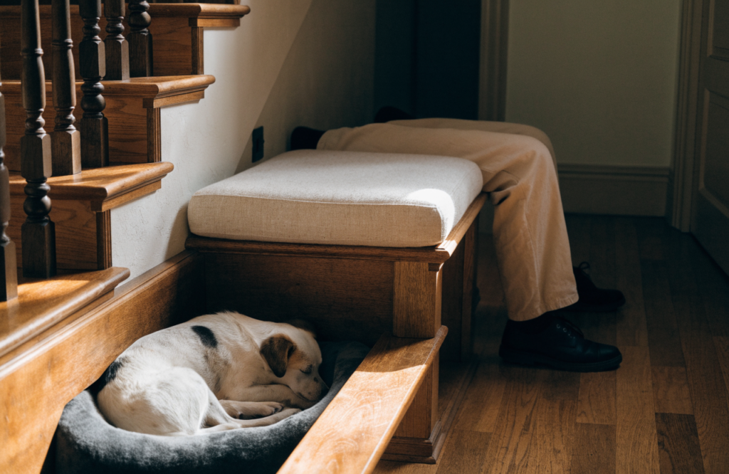 Under-stair bench seat with an open dog bed bay beside it