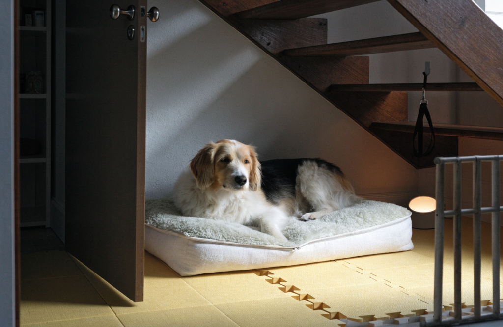 Renter-friendly under-stair dog nook with foam tiles, puck light and a gate