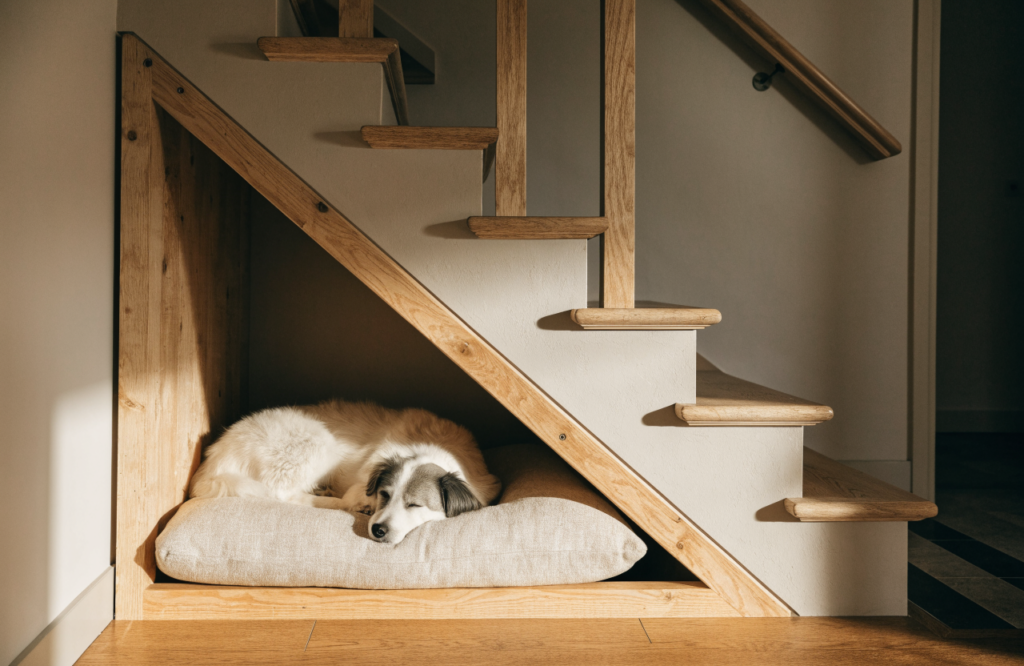 Dog on a cushion in a slope-cut timber frame under the stairs