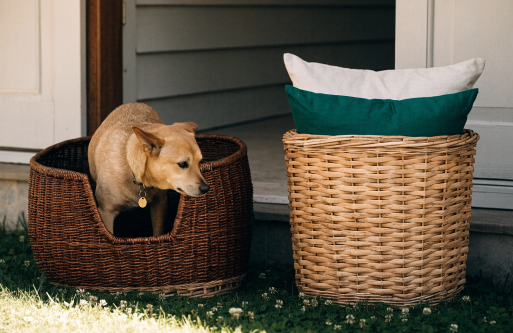 Dog stepping into a purpose-made basket dog bed beside a storage basket