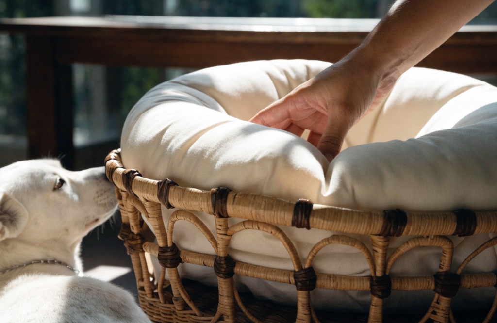 Thick cushion insert being placed into a wicker basket dog bed
