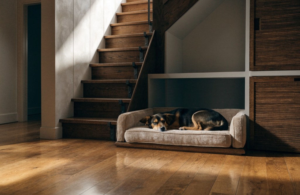 Built-in dog bed in the tall part of the space under the stairs