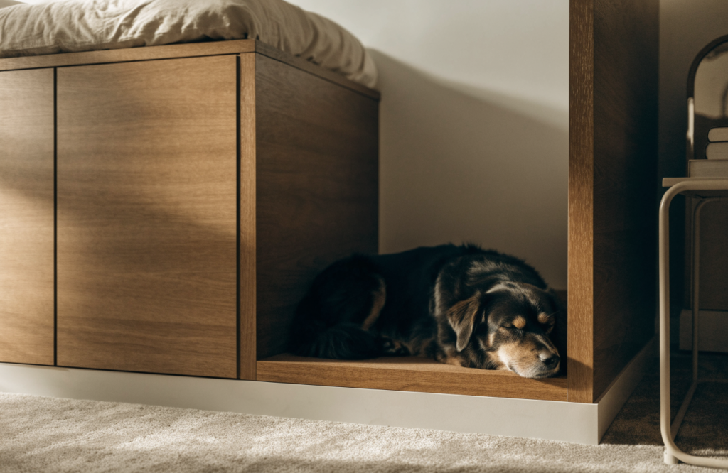 Dog sleeping in a built-in nook beside the bed