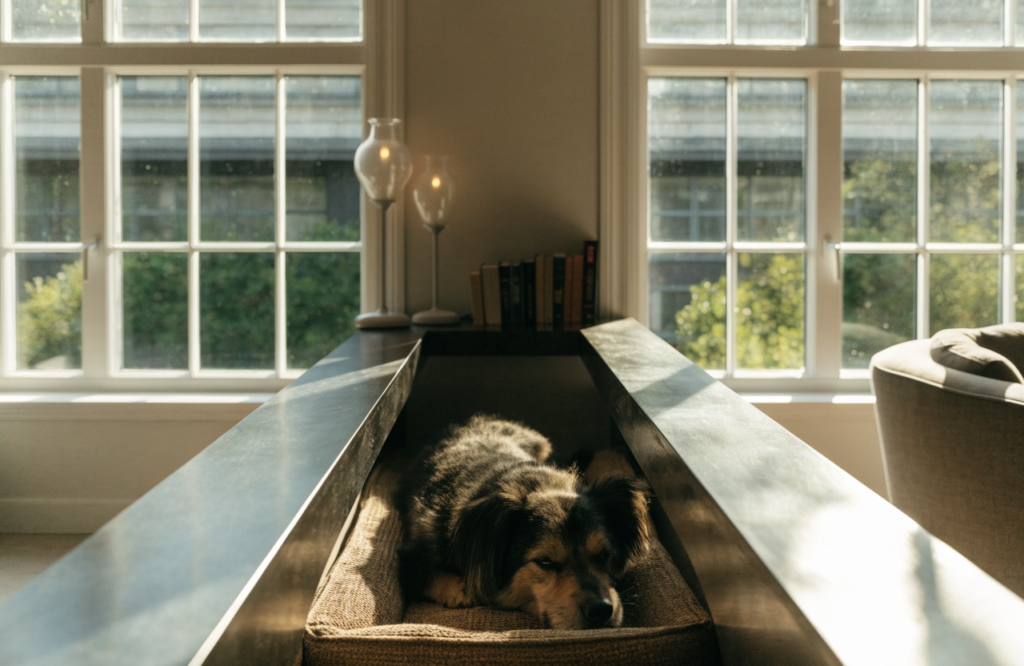 Dog bed under a console table between two windows