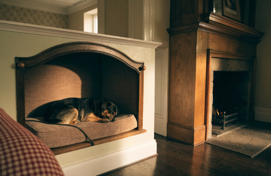 Dog asleep in a framed alcove bed beside a chimney breast