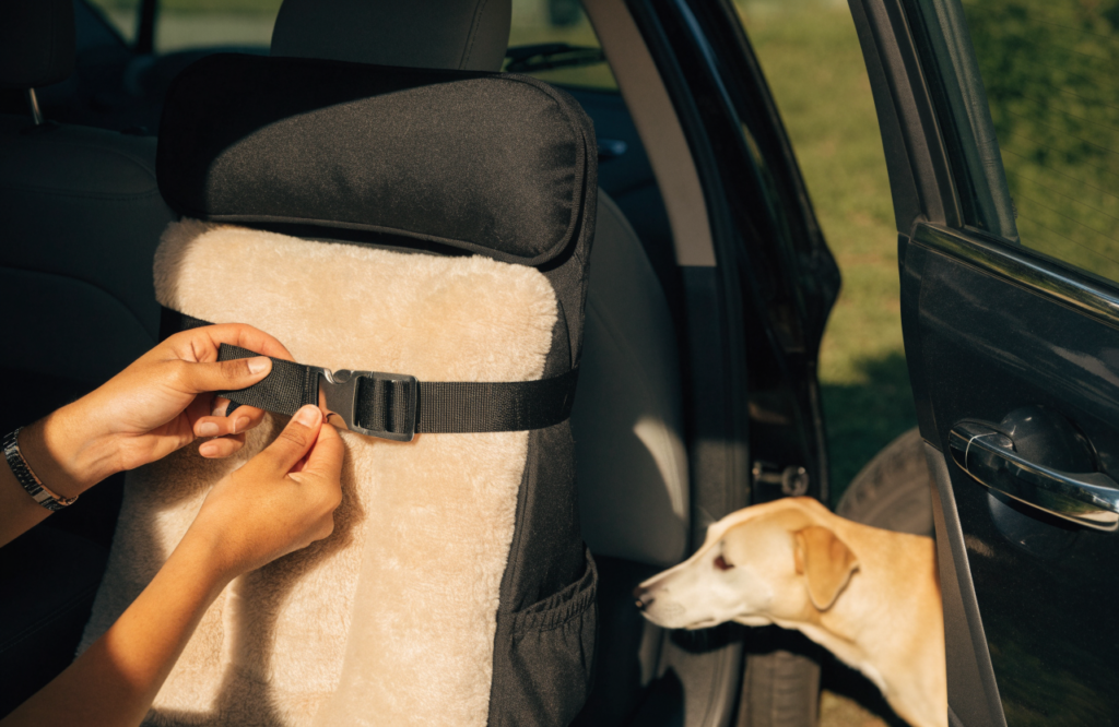 Tightening car dog bed straps with the dog waiting outside