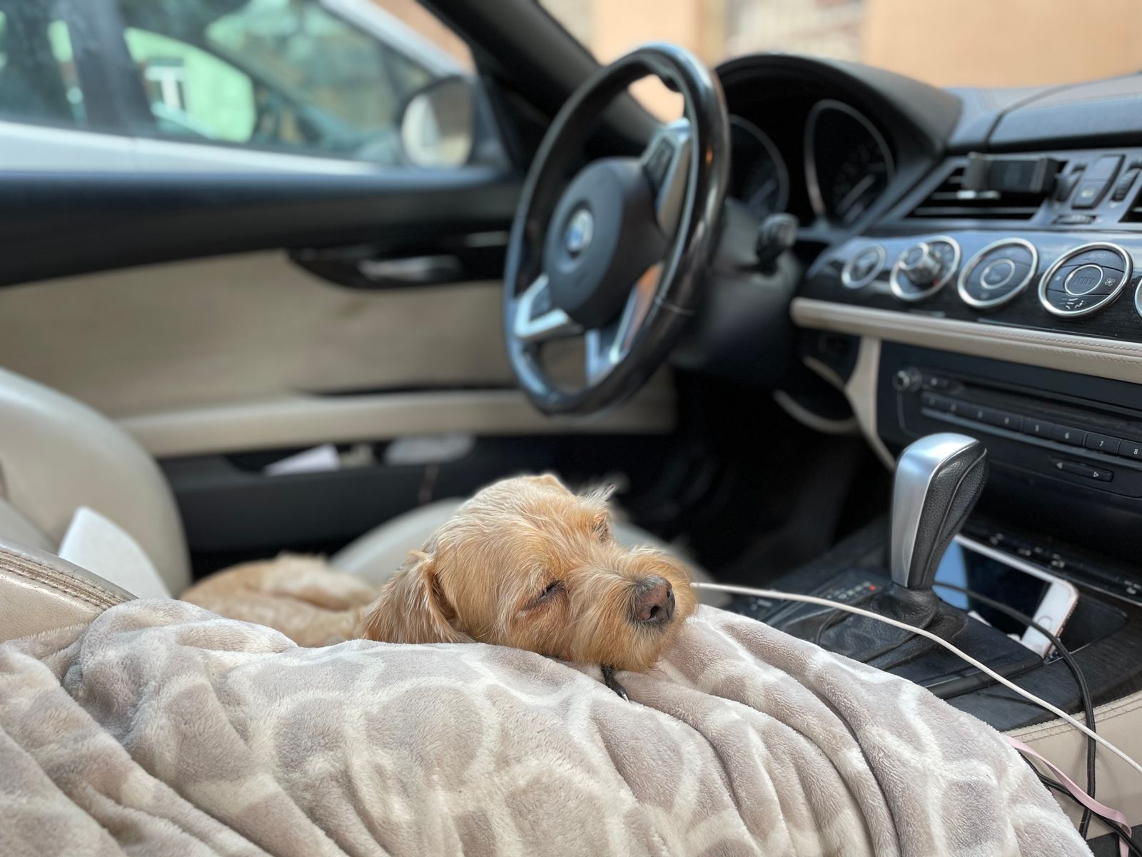 A dog sleeping on a blanket in a car passenger seat.