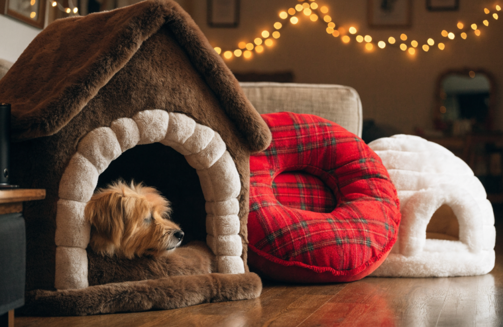 Gingerbread cottage, plaid donut and igloo Christmas dog beds