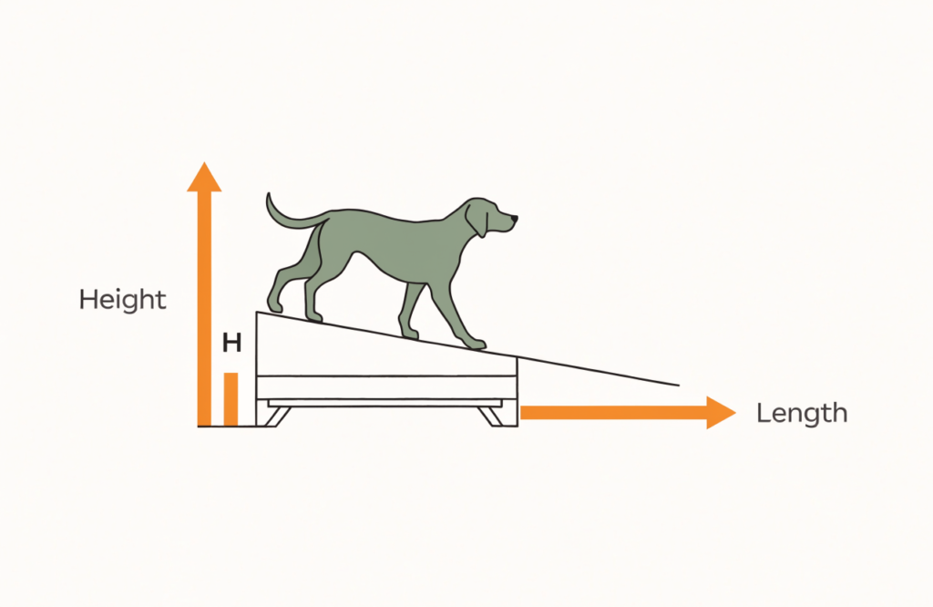 Diagram of ramp height and length for a dog ramp to a bed