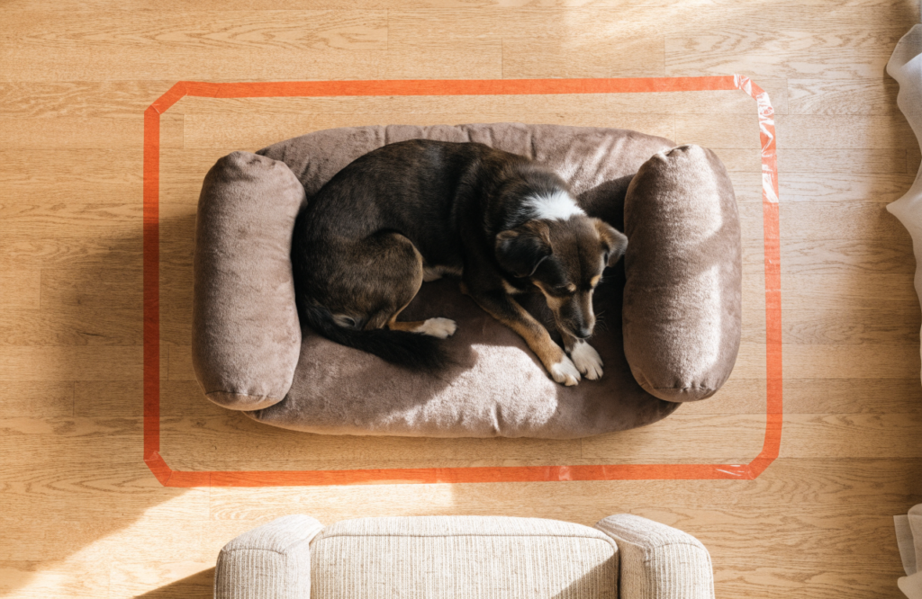 Taped outline showing the floor area a bolster dog bed needs