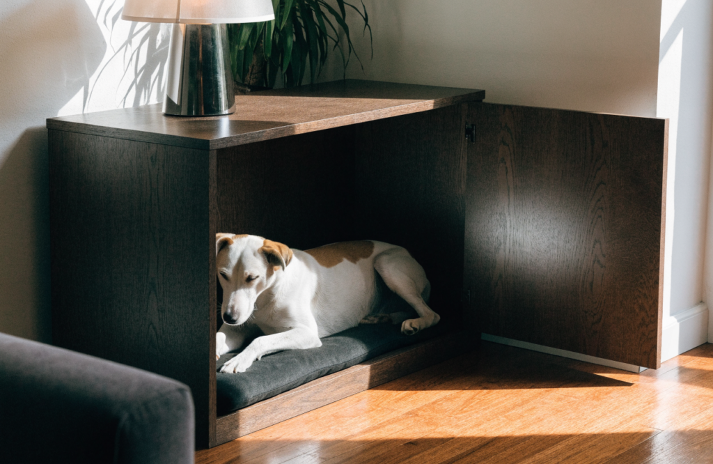 Dog lying inside an open dog bed cabinet in a living room corner