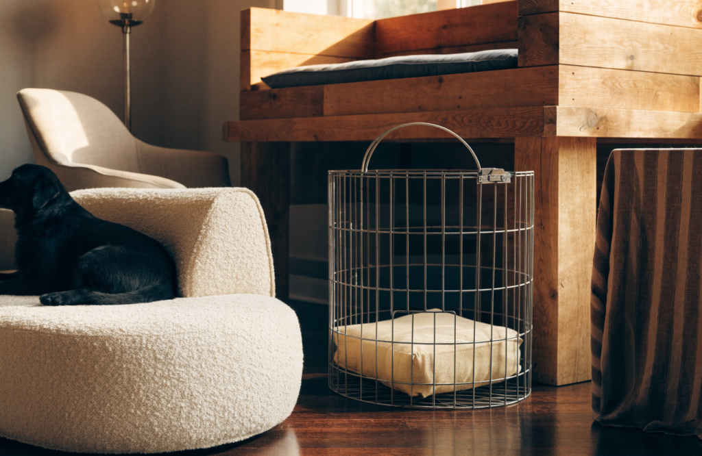 Dog sofa, end-table crate and platform dog bed furniture in one room