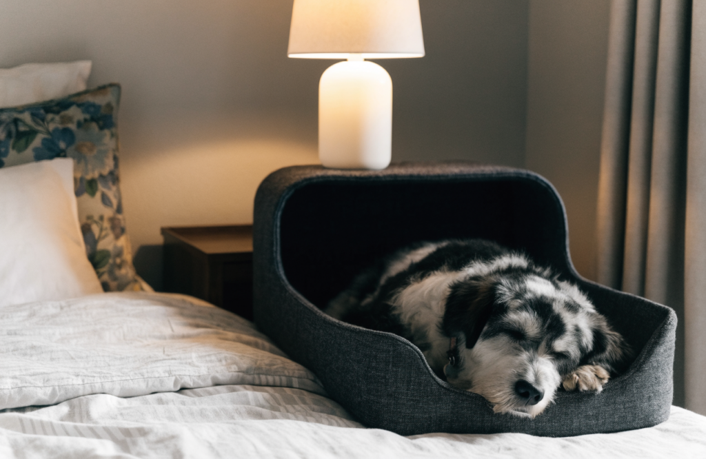 Dog asleep in a nightstand-style dog bed beside the bed