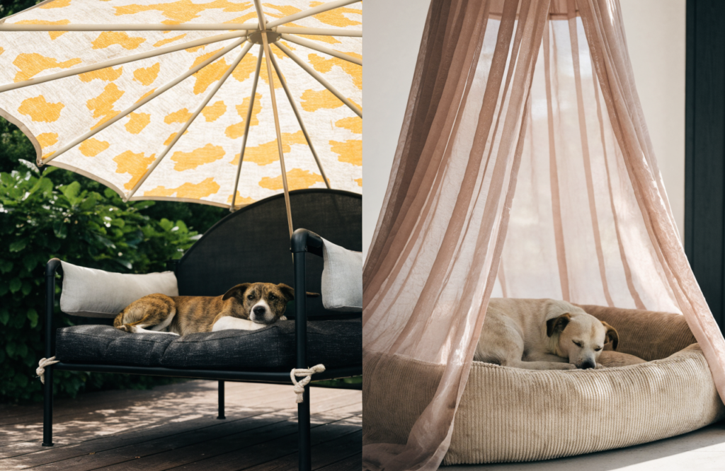 Outdoor umbrella-shaded dog bed beside an indoor draped canopy bed