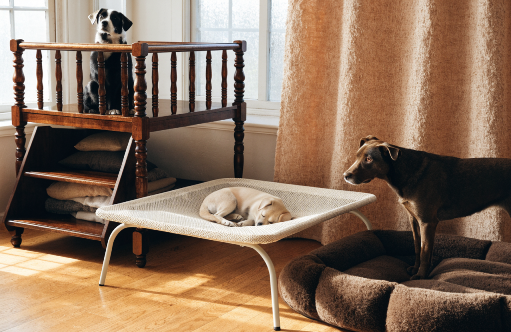 Loft bed, elevated cot and floor bed compared
