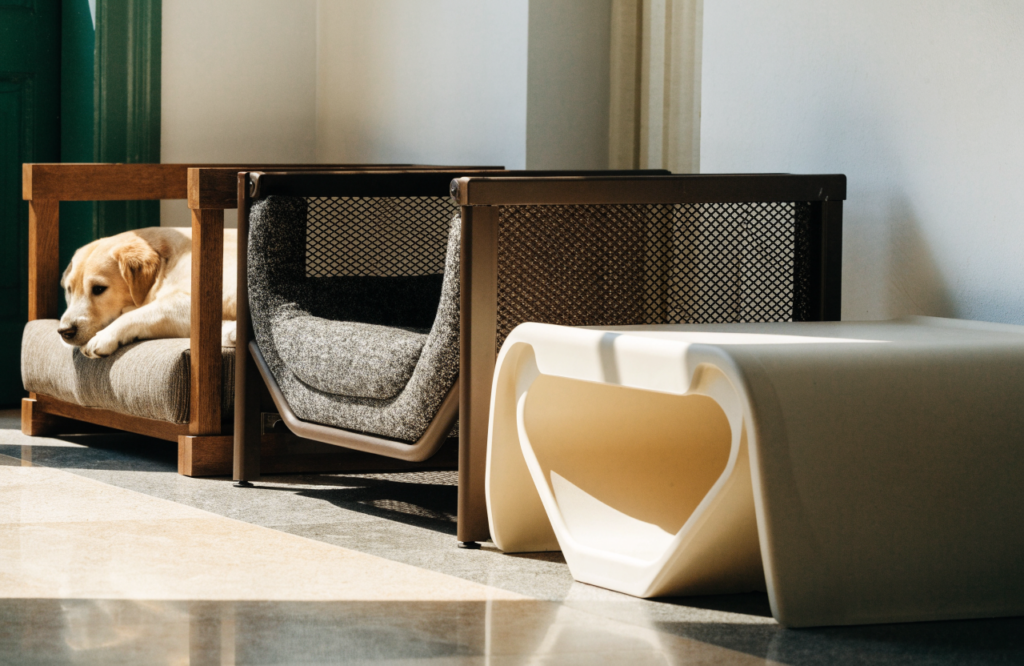 Wooden, mesh and molded dog platform beds side by side