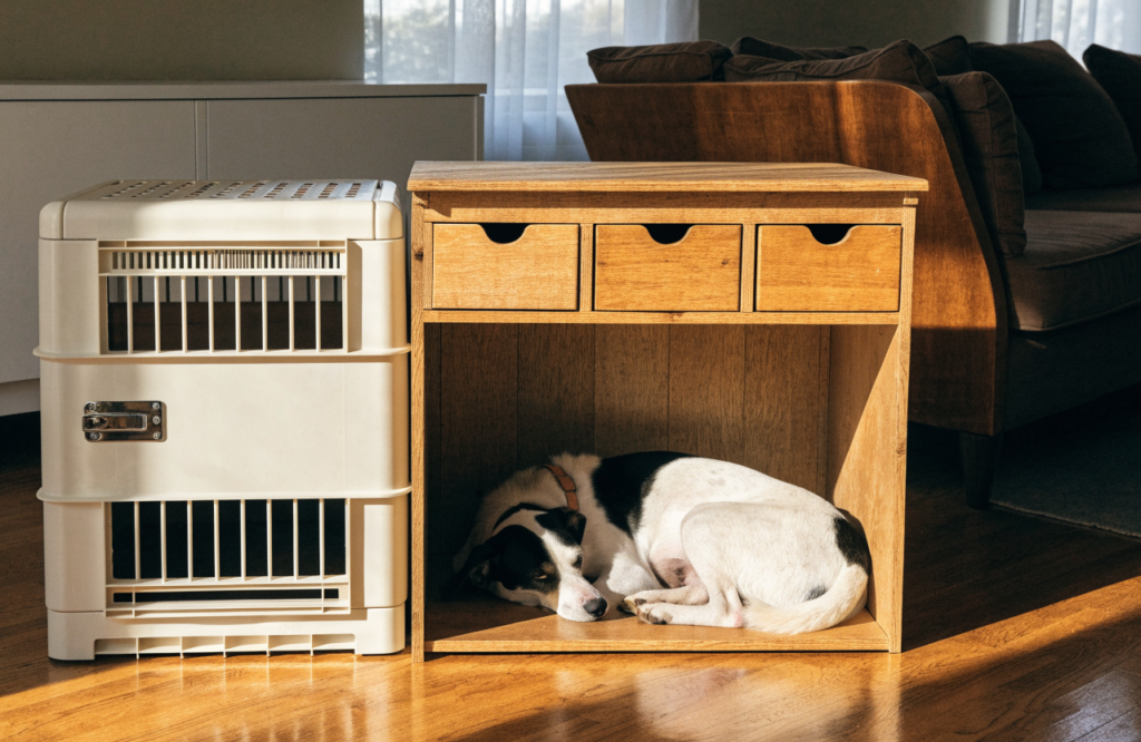 Plastic crate beside a wooden side-table dog bed with a dog inside