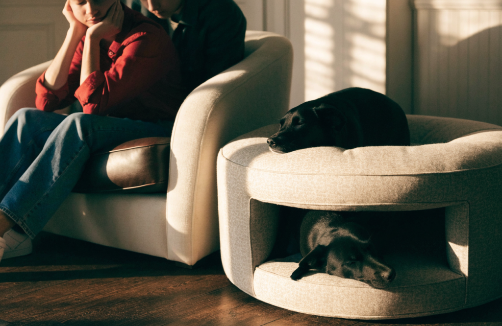 Dog lying in the side cubby of an upholstered ottoman bed