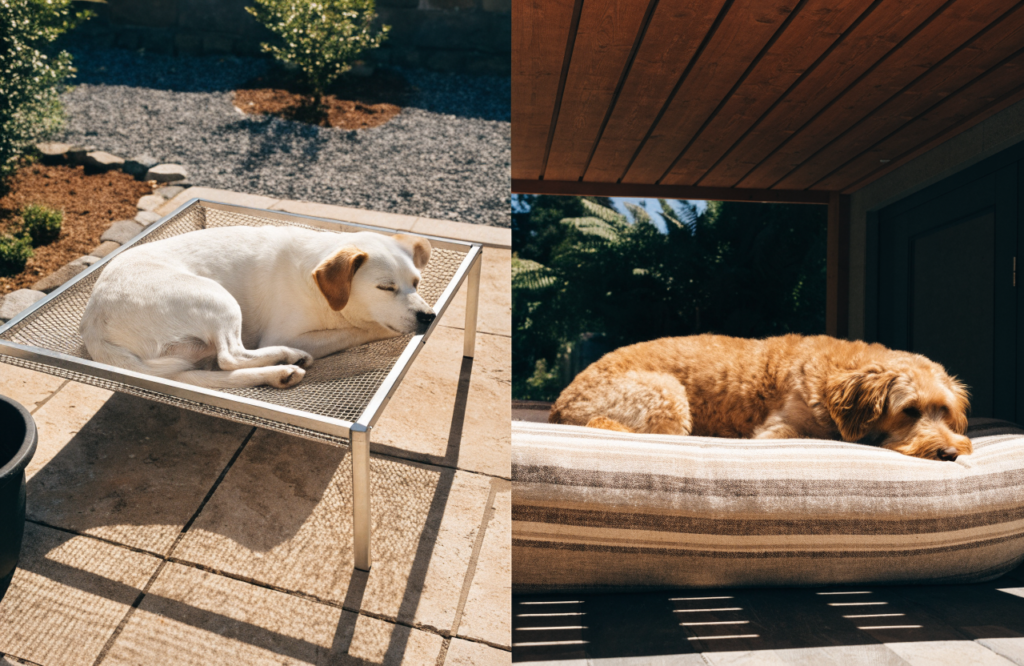Mesh cot on a sunny patio and cushioned bed under a covered porch