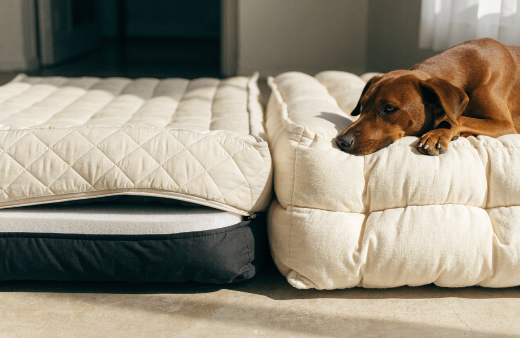 Quilted cover over foam beside a comforter-style quilted dog bed