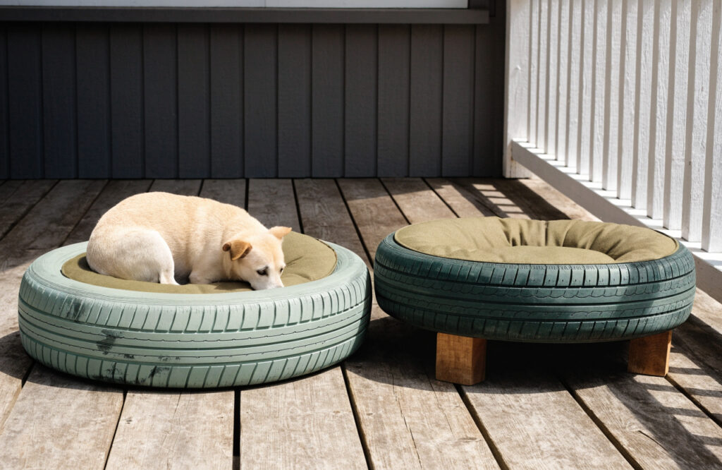 Two tire dog beds: a painted tire lying flat with a cushion and a tire raised on wooden legs