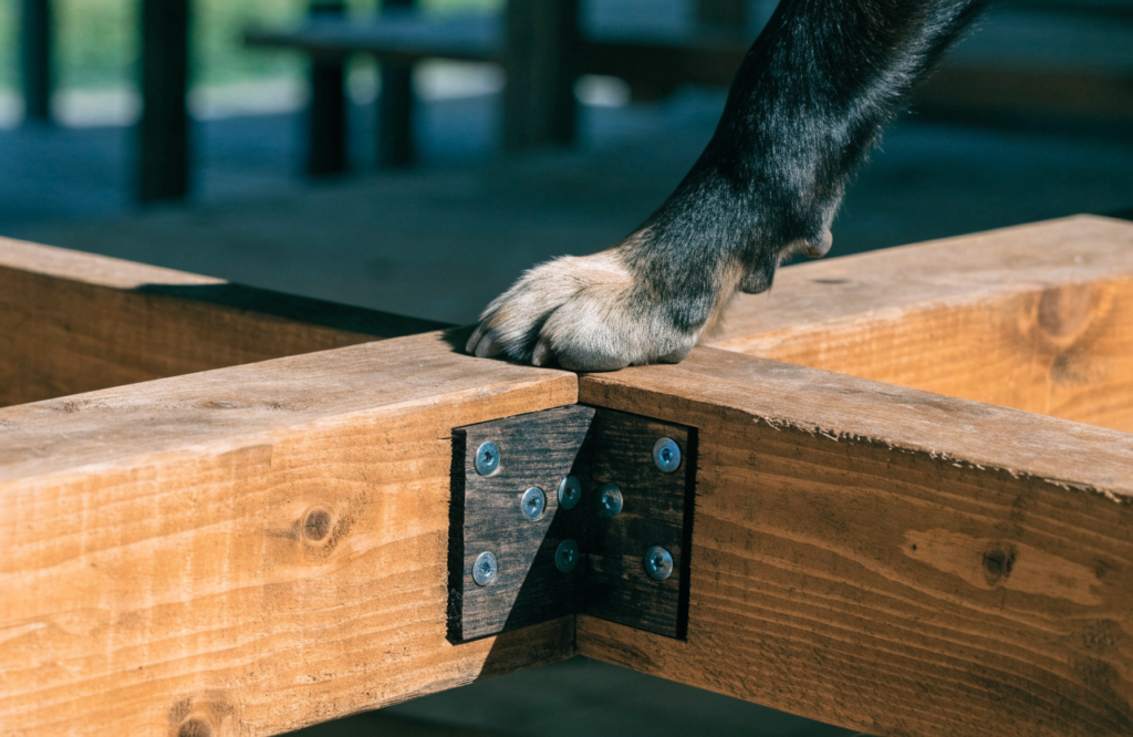 Screwed corner bracket reinforcing a wooden dog bed frame