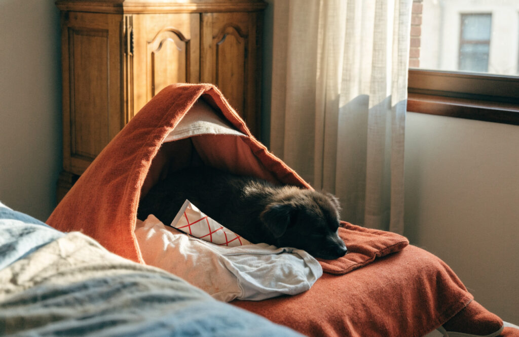 Small dog asleep inside a handmade cave bed with the hood folded partly open