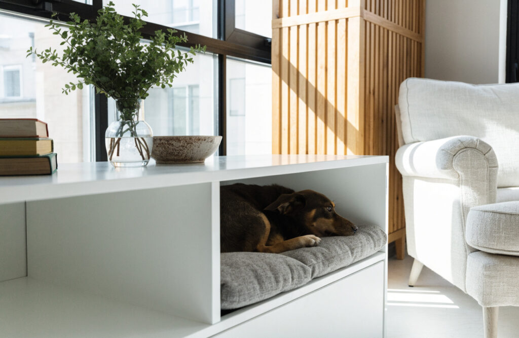 White TV bench with one open bay turned into a cushioned dog bed nook