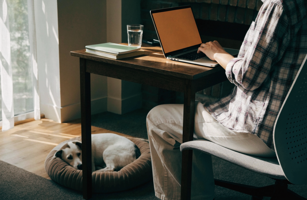 Dog curled in a round bolster bed beside a home office desk