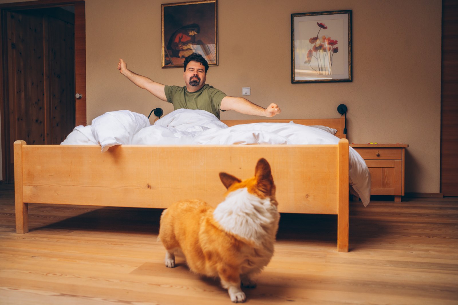 bed frame with dog kennel underneath