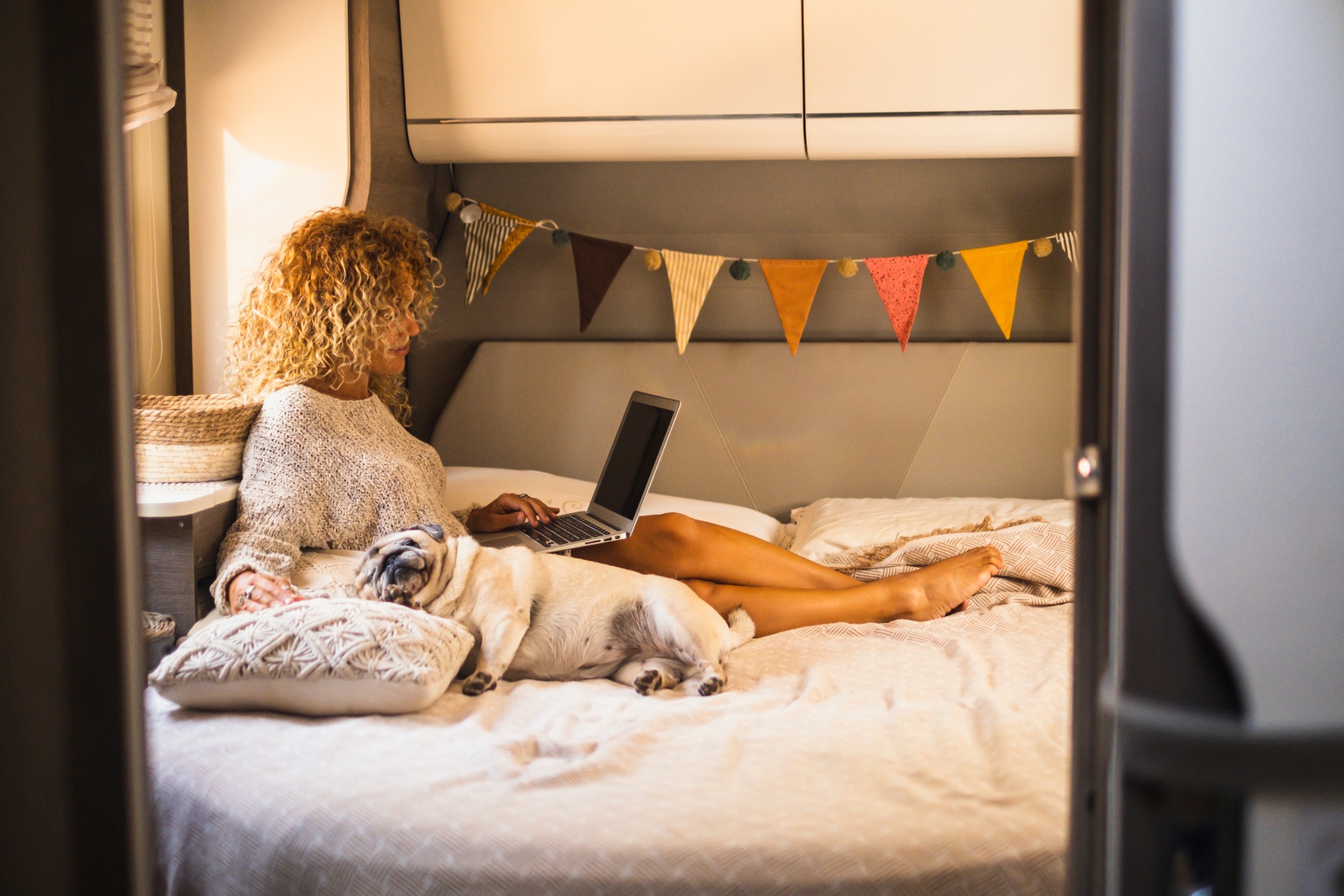 camper dog bed