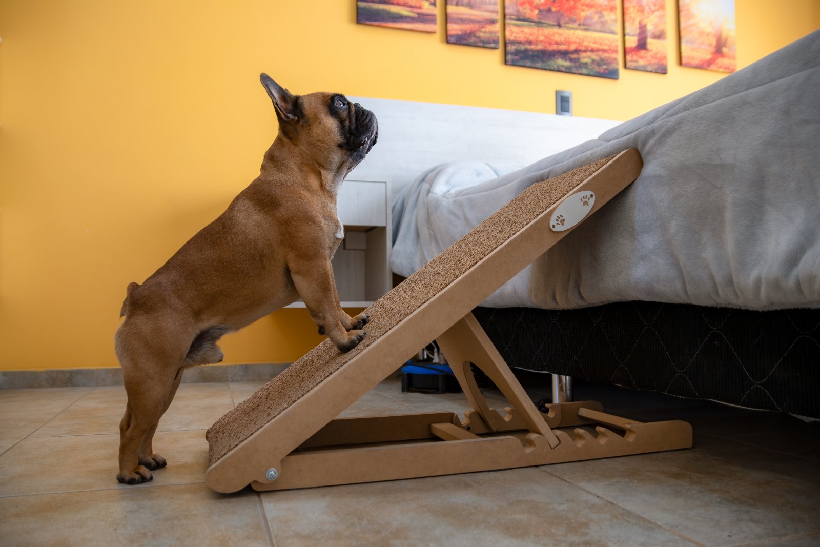 diy bed frame with dog bed underneath