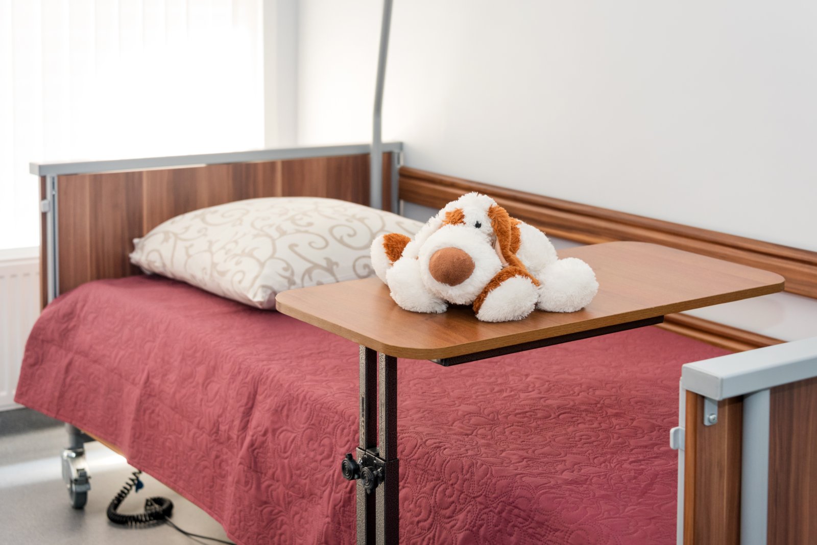 dog bed table