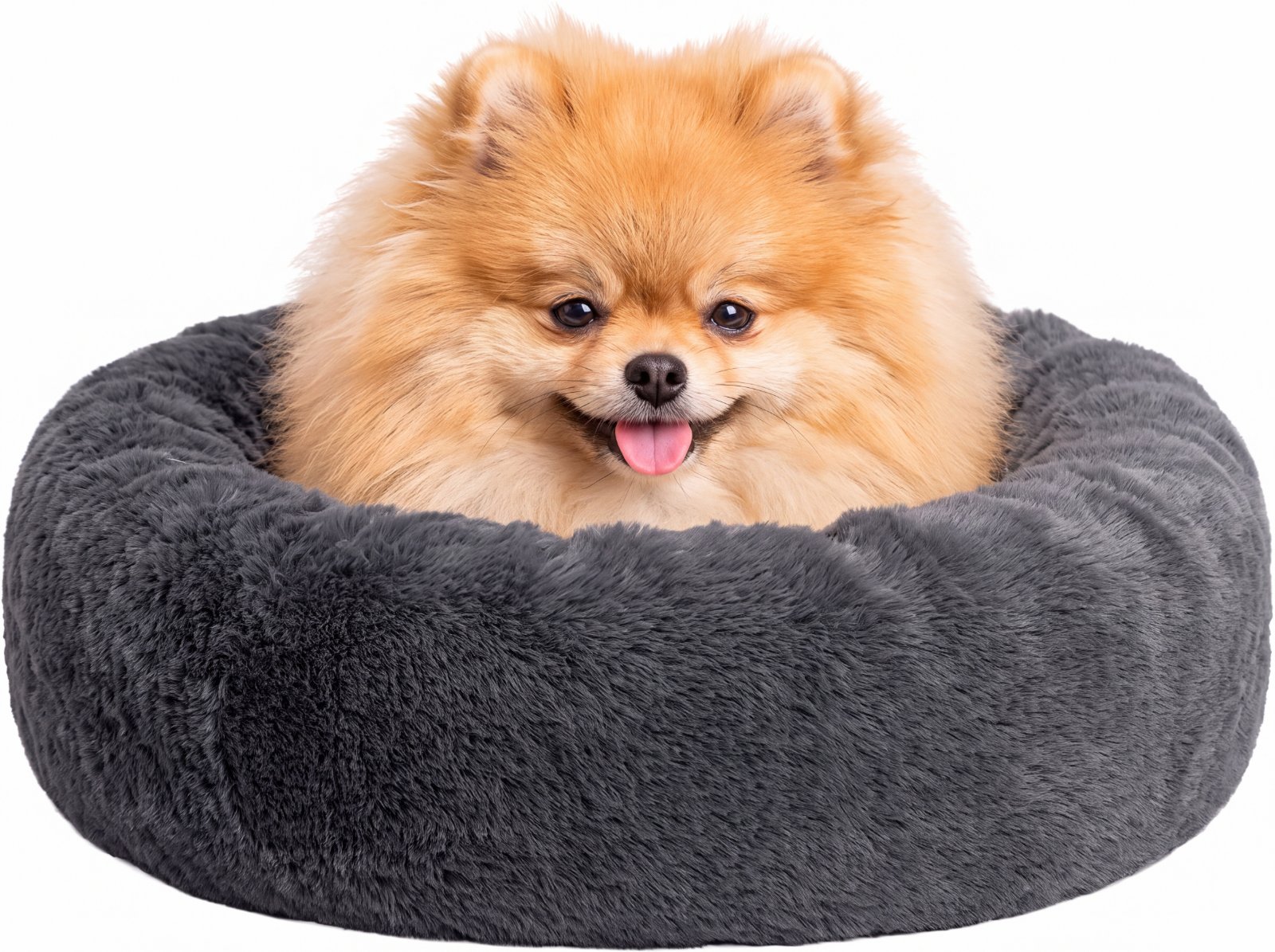 fluffy dog bed